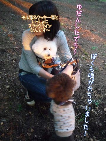 ともだちイパーイ_c0062832_18182320.jpg