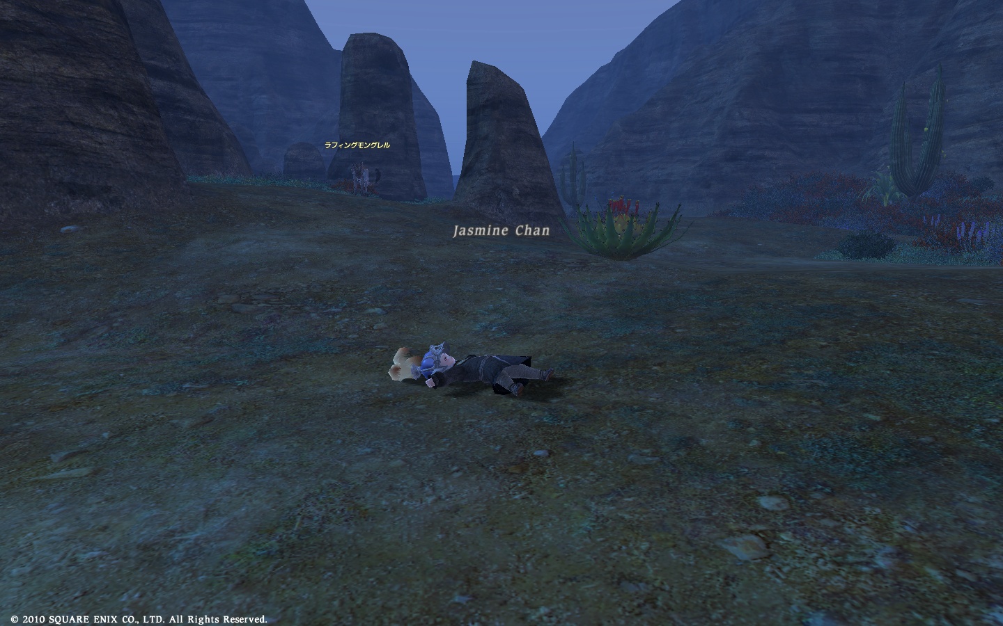 FF14_c0062037_7593088.jpg