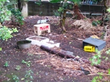 2010年9月30日(木) <フィールドワーク 全編②>_c0222139_20495871.jpg