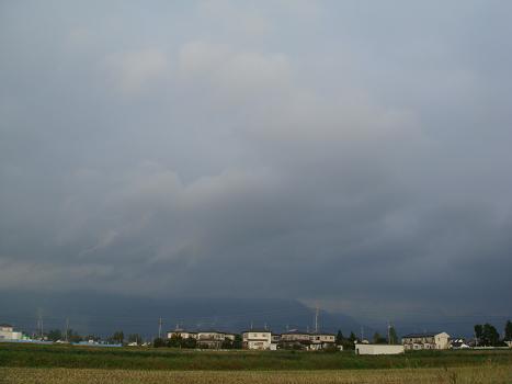 a0014840_2021358.jpg
