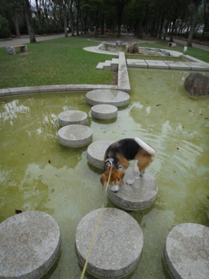 c0119142_37721.jpg