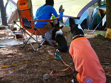 f0155342_238269.jpg