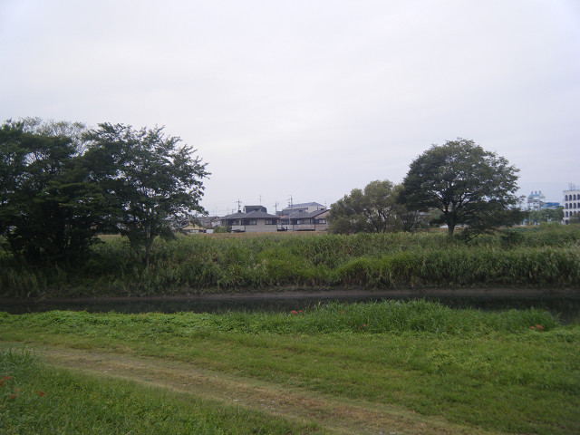 b0088444_20423220.jpg