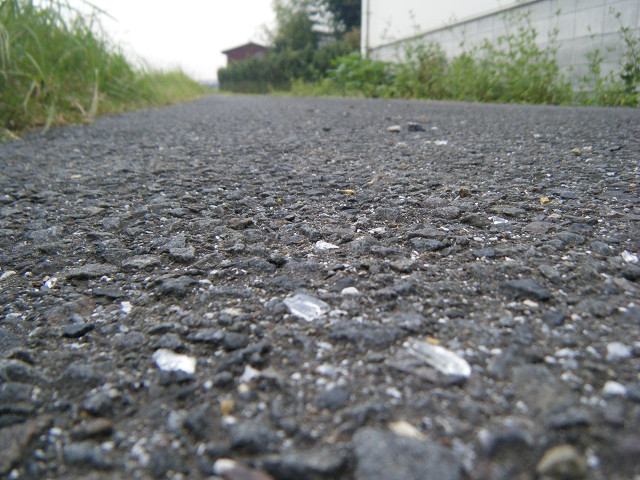 b0088444_2045355.jpg