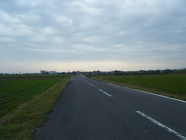 b0088444_20524112.jpg