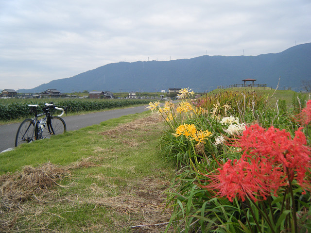 b0088444_20575254.jpg