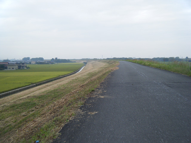b0088444_2121275.jpg