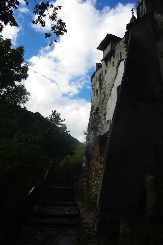 c0011649_519242.jpg