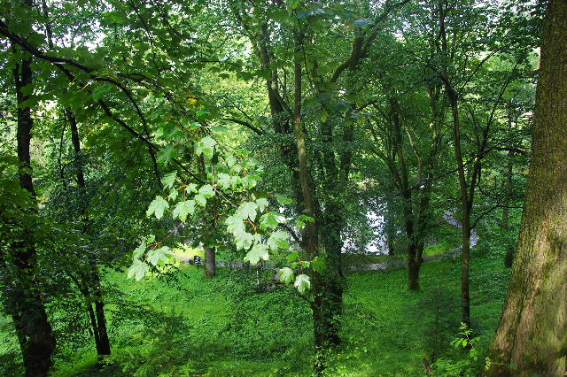 c0011649_521219.jpg