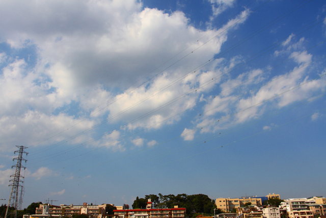 野川散歩2010晩夏：EOS 7D_d0038951_18593180.jpg