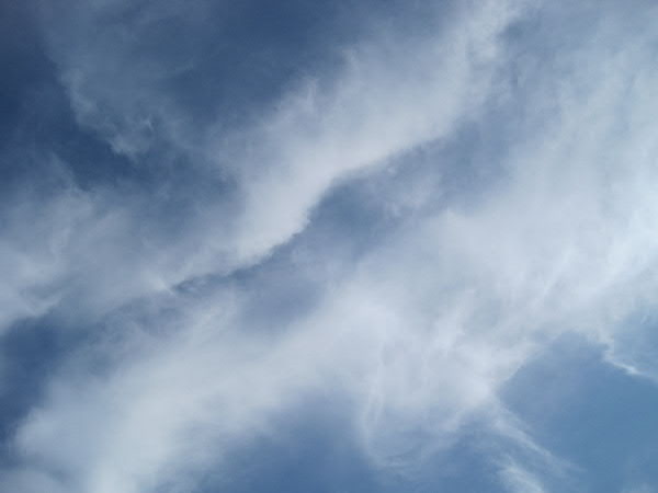 e0017051_9351341.jpg