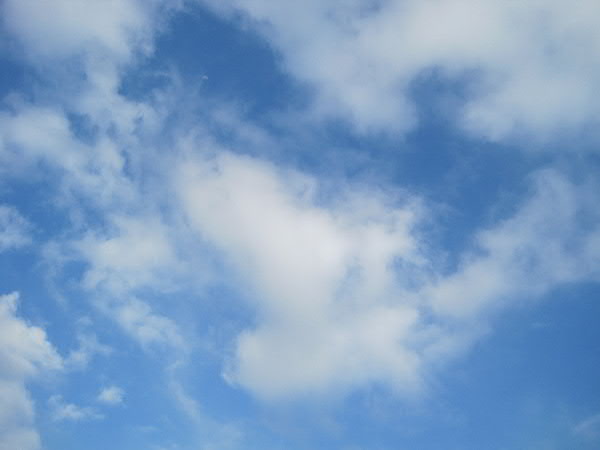 e0017051_935222.jpg