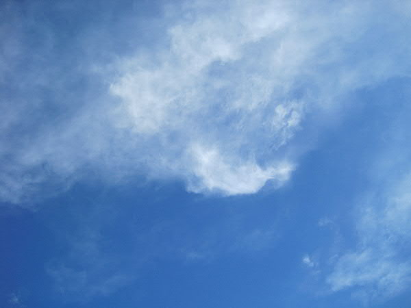 e0017051_935271.jpg