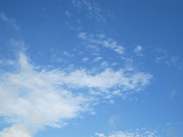 e0017051_9355495.jpg