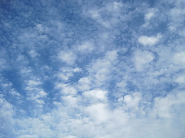 e0017051_9361724.jpg