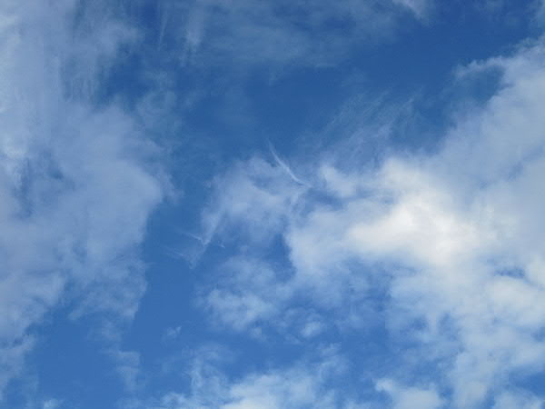 e0017051_93647.jpg
