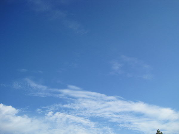 e0017051_9371282.jpg