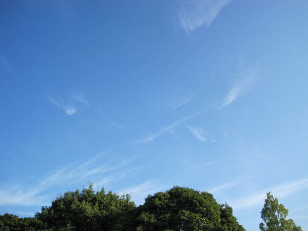 e0017051_937244.jpg