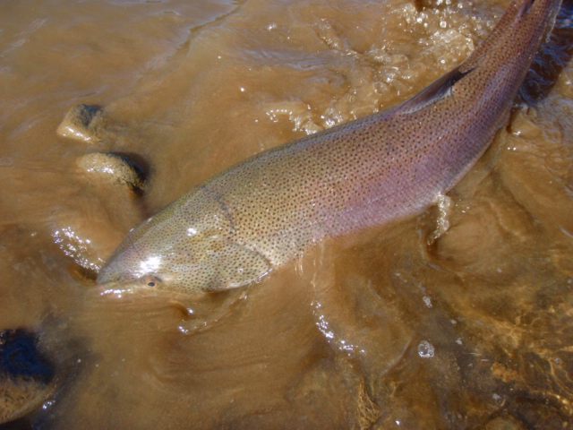 c0097652_19705.jpg