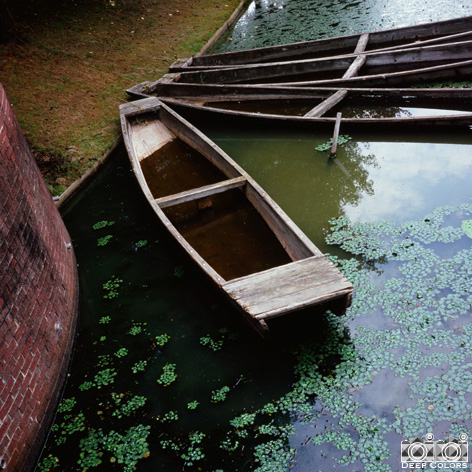 「オランダではなく…」〜岐阜県／海津市〜 by LUBITEL166+_f0013652_21403250.jpg