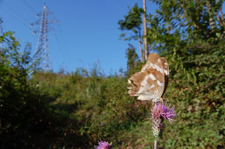 b0167762_034087.jpg