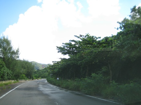 a0160166_232114.jpg