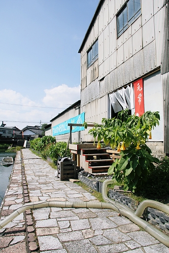 近江八幡 BIWAKO ビエンナーレ 2010 その2_c0196076_2294627.jpg