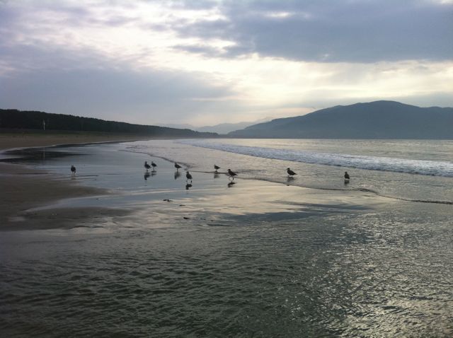 秋の浜辺_b0082977_747516.jpg