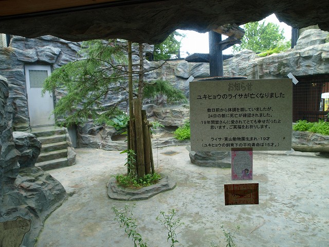 b0145677_17185041.jpg