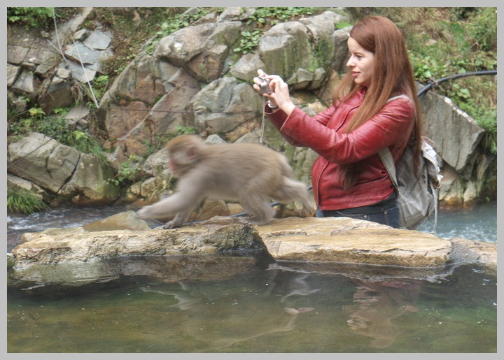 地獄谷・野猿公苑_c0036080_13224642.jpg