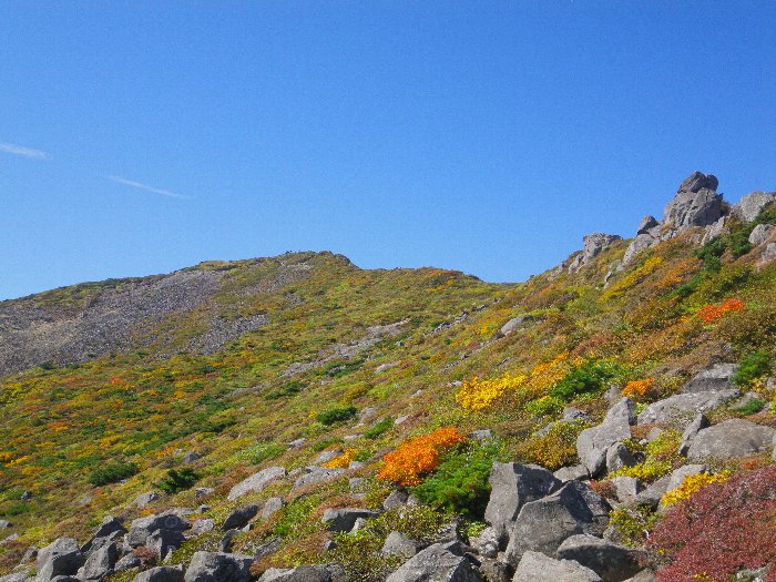 不忘山の紅葉始まる ～ ２０１０年１０月２日_f0170180_8142228.jpg