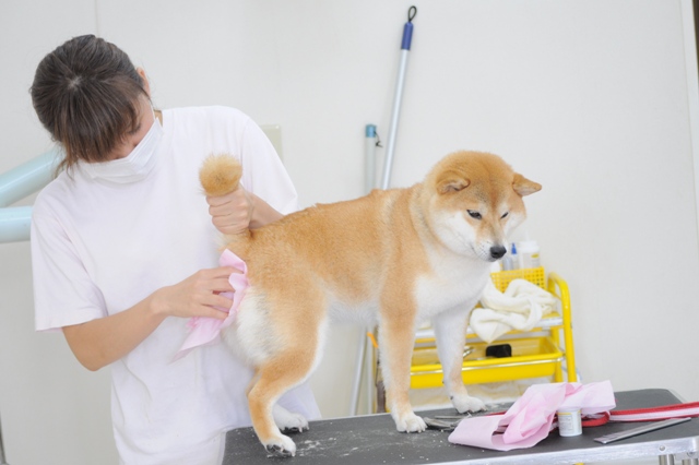 きれいになりました_a0126590_23143393.jpg