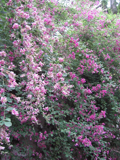 c0087094_17234285.jpg