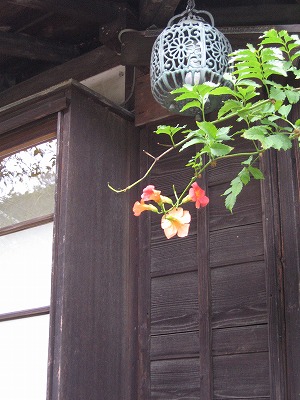 c0087094_1727476.jpg