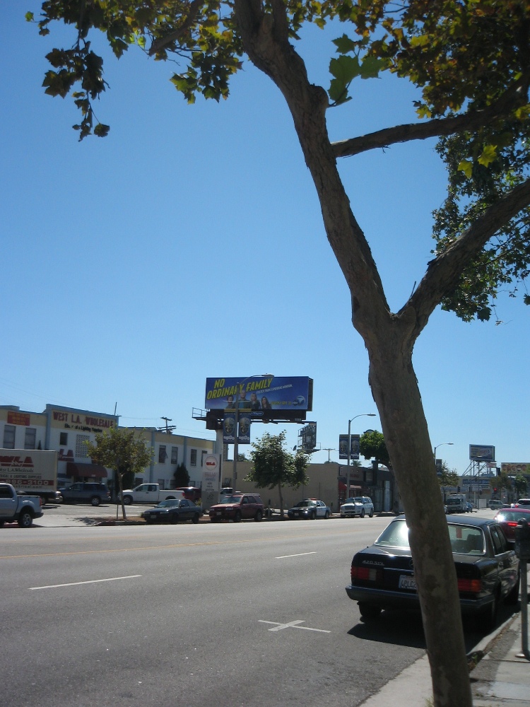 LA~New Orleans旅行　3日目_c0112696_3411828.jpg