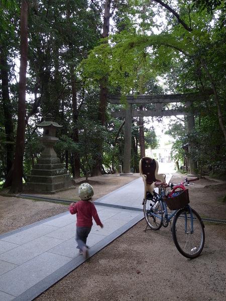 visiting a shrine_f0074397_20351791.jpg