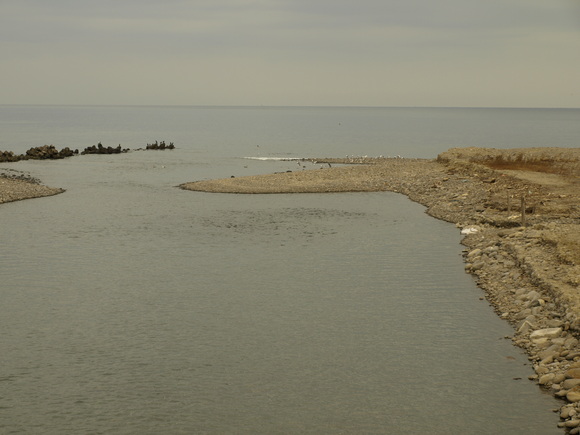 f0020302_2014750.jpg