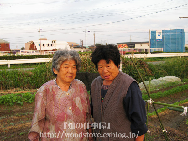 こんどこそ、本物の畑の先住民であります。_e0065906_2142369.jpg