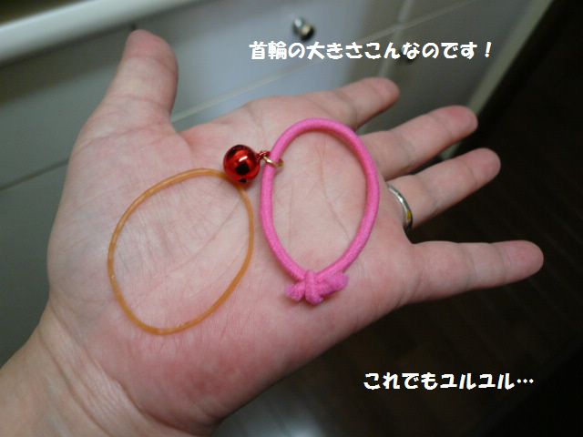 e0094407_134084.jpg
