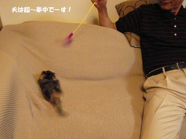 e0094407_13543461.jpg