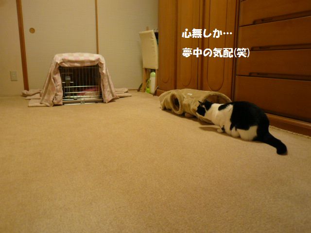 e0094407_13562711.jpg