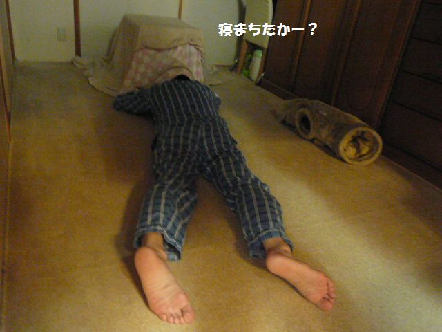 e0094407_1358559.jpg