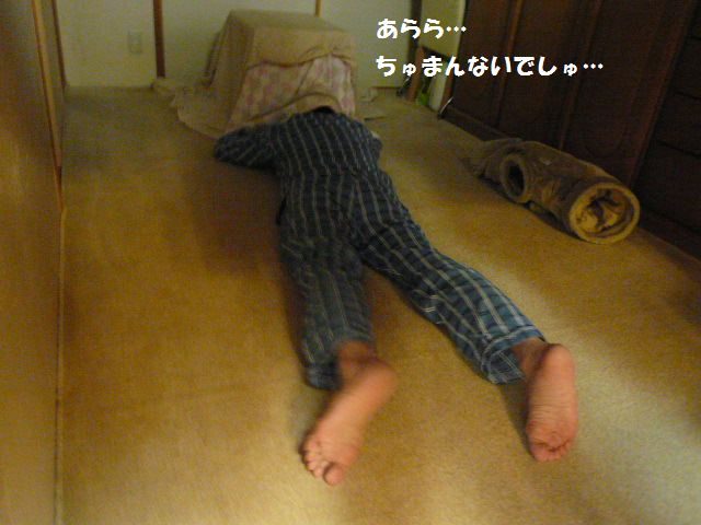 e0094407_1359194.jpg