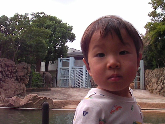 f0038407_858352.jpg