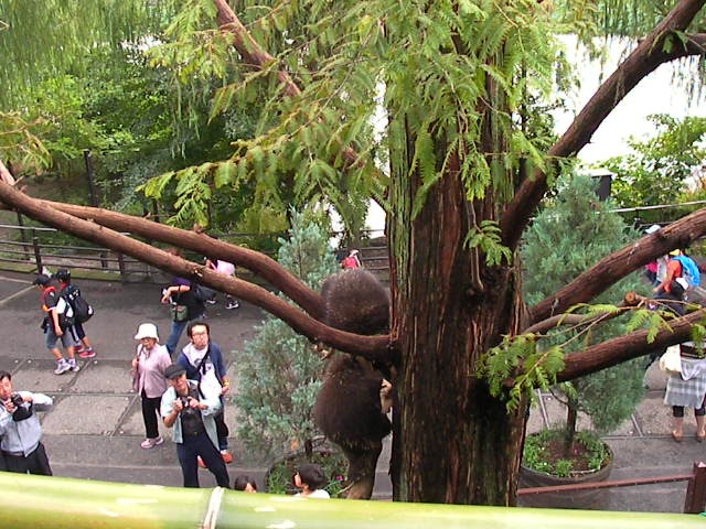 f0038407_8584154.jpg