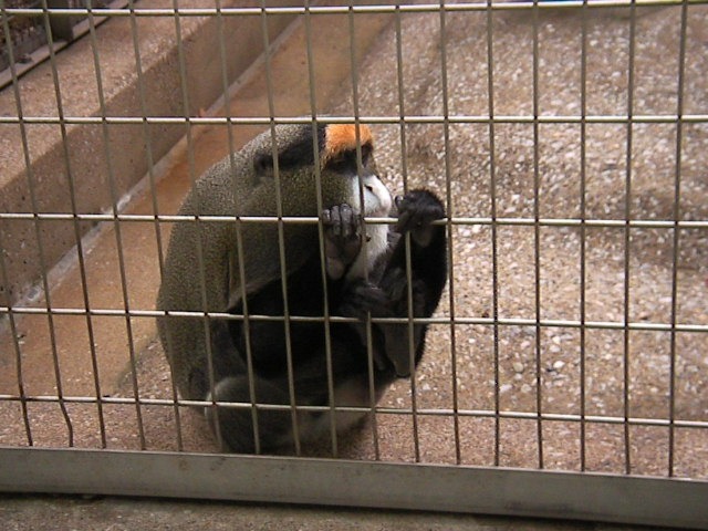 f0038407_8593256.jpg