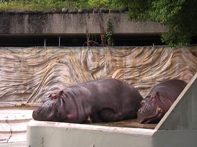 f0038407_902713.jpg