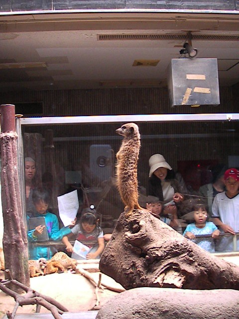 f0038407_913465.jpg