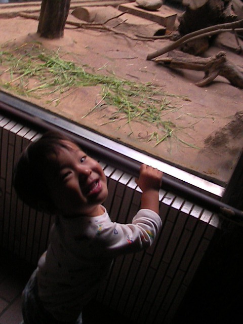 f0038407_922821.jpg
