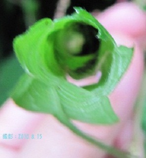 d0177108_311237.jpg